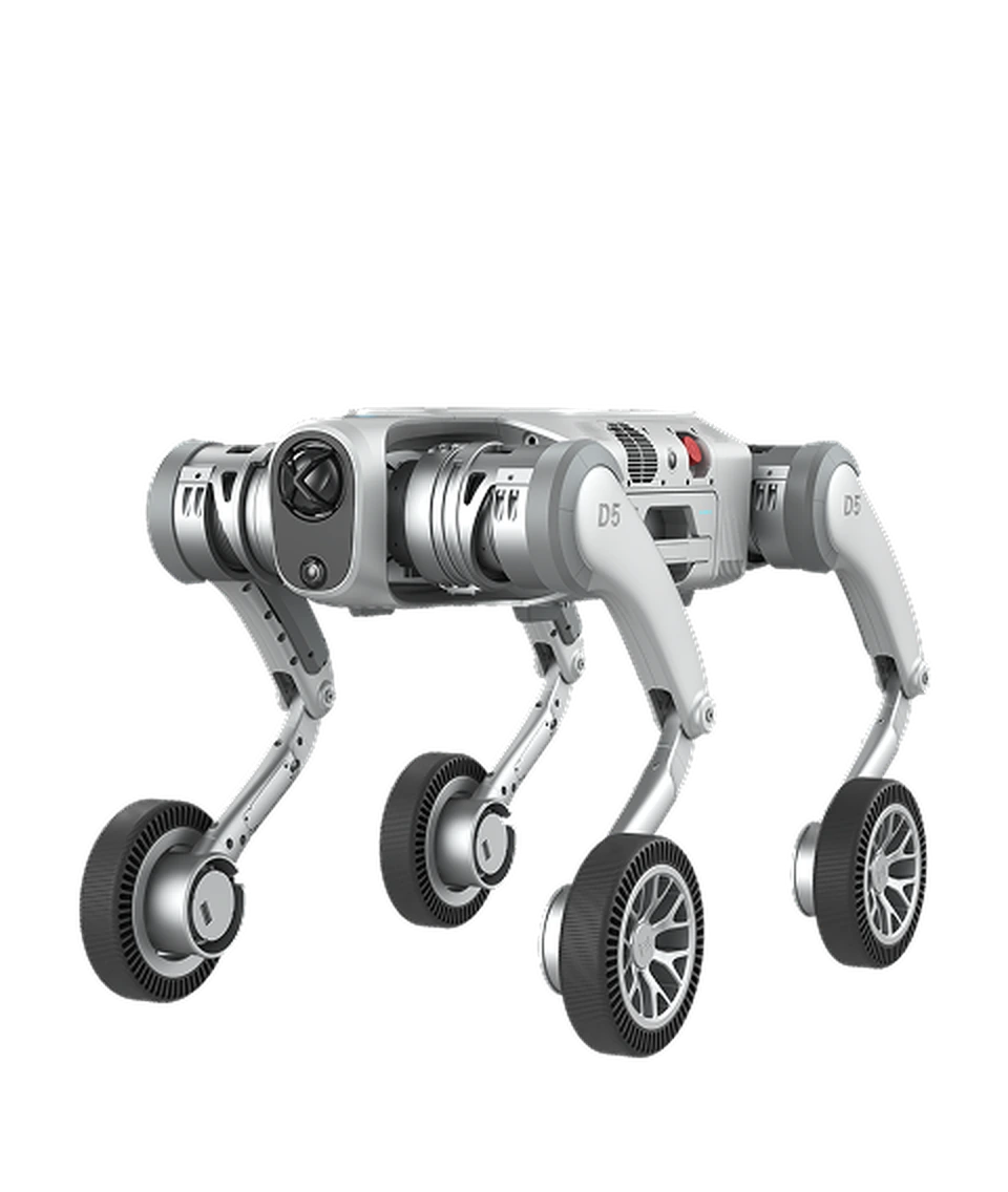 PUDU D5-W